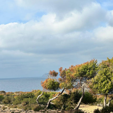 Escapade à Ibiza