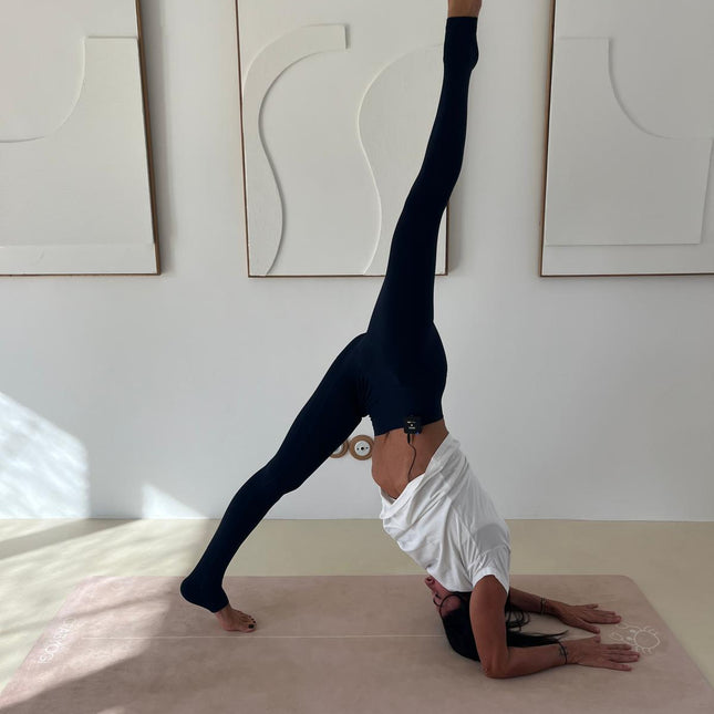 MINI COLLECTION : LES ESSENTIELS DE CRABYOGI